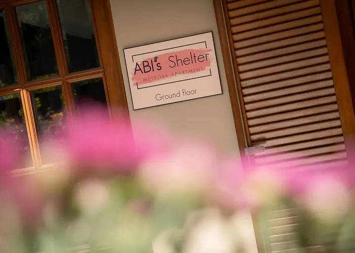 Abi's Shelter